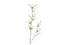 SILK BELLWORT CREAM SINGLE STEM 82CM NM
