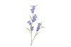 SILK BELLWORT BLUE SINGLE STEM 82CM NM