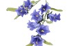 SILK BELLWORT BLUE SINGLE STEM 82CM NM