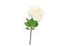 SILK WILD ROSE WHITE SINGLE 65CM NM