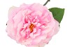 SILK WILD ROSE PINK SINGLE 65CM NM