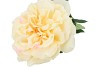 SILK WILD ROSE YELLOW SINGLE 65CM NM