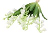 SILK CONVALLARIA WHITE P/4 BOUQUET 37CM