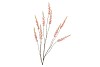 SILK CAMPANULA ORANGE SINGLE STEM 146CM
