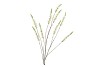 SILK CAMPANULA CREAM SINGLE STEM 146CM