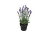 SILK LAVENDER PURPLE IN POT BLACK M 21X21X32CM NM
