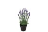 SILK LAVENDER PURPLE IN POT BLACK S 15X15X20CM NM