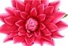 SILK AMAZING DAHLIA BEAUTY FUCHSIA L 35X100CM