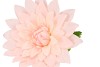 SILK AMAZING DAHLIA BEAUTY PEACH L 35X100CM