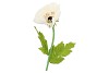 SILK AMAZING POPPY BEAUTY CREAM XXXL 55X155CM