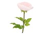 SILK AMAZING POPPY BEAUTY LIGHT PINK XXXL 55X155CM