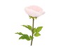 SILK AMAZING POPPY BEAUTY LIGHT PINK XXL 45X128CM