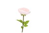 SILK AMAZING POPPY BEAUTY LIGHT PINK L 25X90CM
