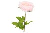 SILK AMAZING PEONY BEAUTY LIGHT PINK XXXL 58X140CM