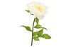 SILK AMAZING PEONY BEAUTY CREAM XXXL 58X140CM