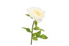 SILK AMAZING PEONY BEAUTY CREAM XL 38X115CM