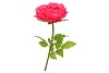 SILK AMAZING PEONY BEAUTY FUCHSIA XXXL 58X140CM