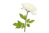SILK AMAZING ROSE BEAUTY CREAM XXL 50X120CM