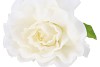 SILK AMAZING ROSE BEAUTY CREAM XXL 50X120CM