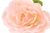 SILK AMAZING ROSE BEAUTY PEACH XL 40X110CM