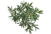 SILK OLIVE TREE GREEN 90CM