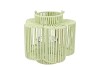 CRUZ PISTACHE LANTERN FLOWER  LONG 12X23X24CM