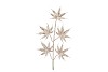 PICK SHINE MAPLE COZY CHAMPAGNE 44CM P/12 NM