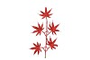 PICK SHINE MAPLE JOLLY RED 44CM P/12 NM