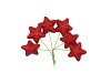 PICK SHINE STAR JOLLY RED 4X7CM P/96