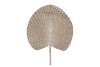 PICK SHINE FAN COZY CHAMPAGNE 66CM NM