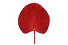 PICK SHINE FAN JOLLY RED 66CM NM