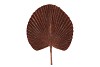 PICK SHINE FAN SCOTTISH COPPER 66CM NM