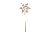 PICK SHINE SNOWFLAKE COZY CHAMPAGNE 25CM P/24 NM