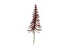PICK SHINE CHRISTMAS TREE SCOTTISH COPPER 38CM P/24 NM