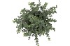 SILK EUCALYPTUS GREEN IN POT M 23X23X28CM NM