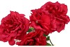 SILK WILD ROSE RED SINGLE STEM 116CM NM