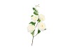 SILK WILD ROSE WHITE SINGLE STEM 116CM NM