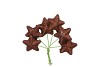 PICK SHINE STAR SCOTTISH COPPER 4X7CM P/96