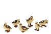 BABY DUCK ASS 10X6X10CM