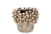LIAN SAND POT FUNGI 19X19X15CM
