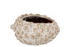 METTE WHITE POT 18X16X10CM