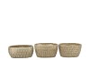 PARIS GREEN POT OVAL ASS 24X13X11CM