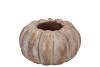 CONCRETE GOLDEN POT PUMPKIN 12X12X7CM