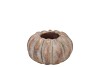 CONCRETE GOLDEN POT PUMPKIN 8X8X5CM