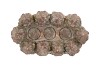 CONCRETE GOLDEN POT TREES 28X17X11CM