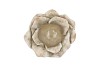 CONCRETE SAINT ANTIQUE GREY POT ROSE 29X25X11CM