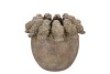 CONCRETE GOLDEN POT BIRDS 21X21X17CM