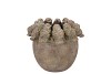 CONCRETE GOLDEN POT BIRDS 18X18X15CM