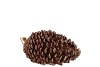 SIA BROWN PINECONE 14X9X8CM
