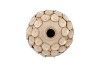 NANCY BEIGE VASE NECK FLOWER 19X19X19M